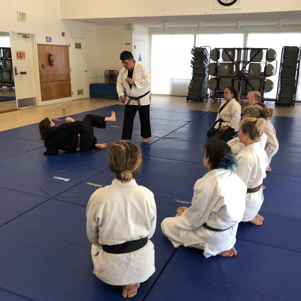 Prof Kaplowitz and Sensei Ralph teaching in front of group of students